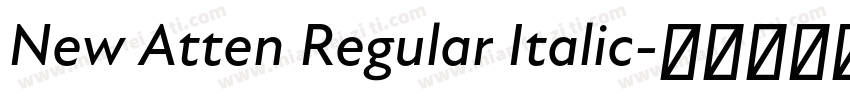 New Atten Regular Italic字体转换
